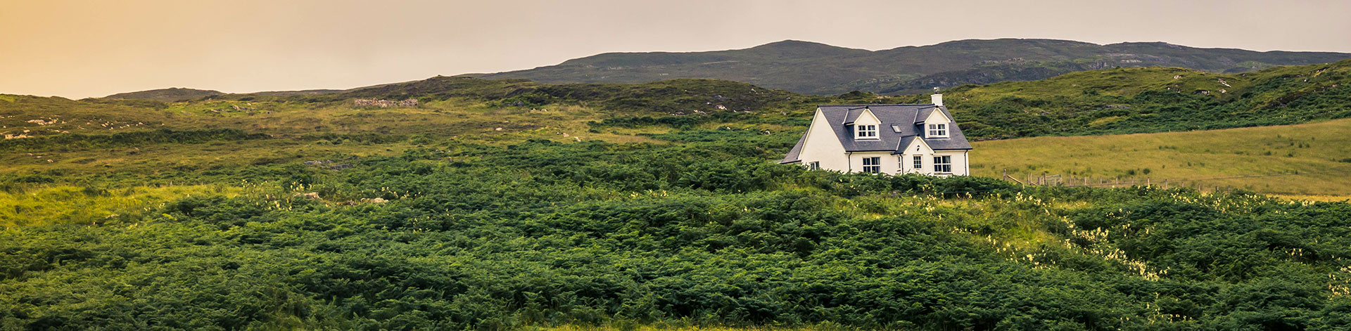 Ferienhaus Lowlands