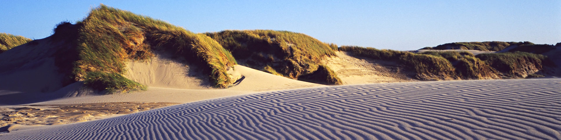 Sonne und Strand Ferienhäuser