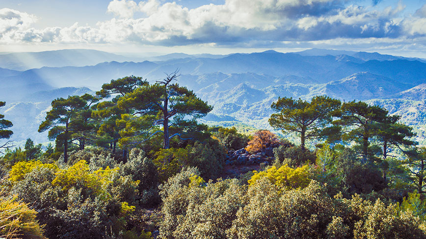 Zypern Troodos-Gebirge